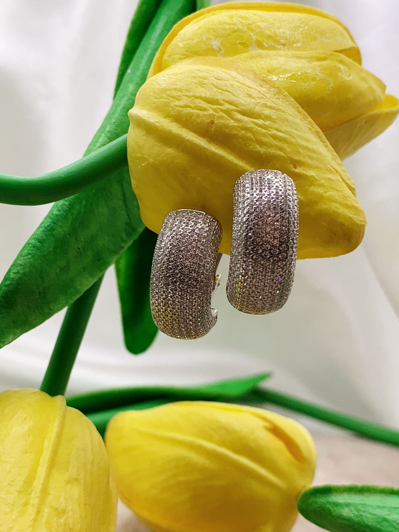 Orecchini jumbo clip