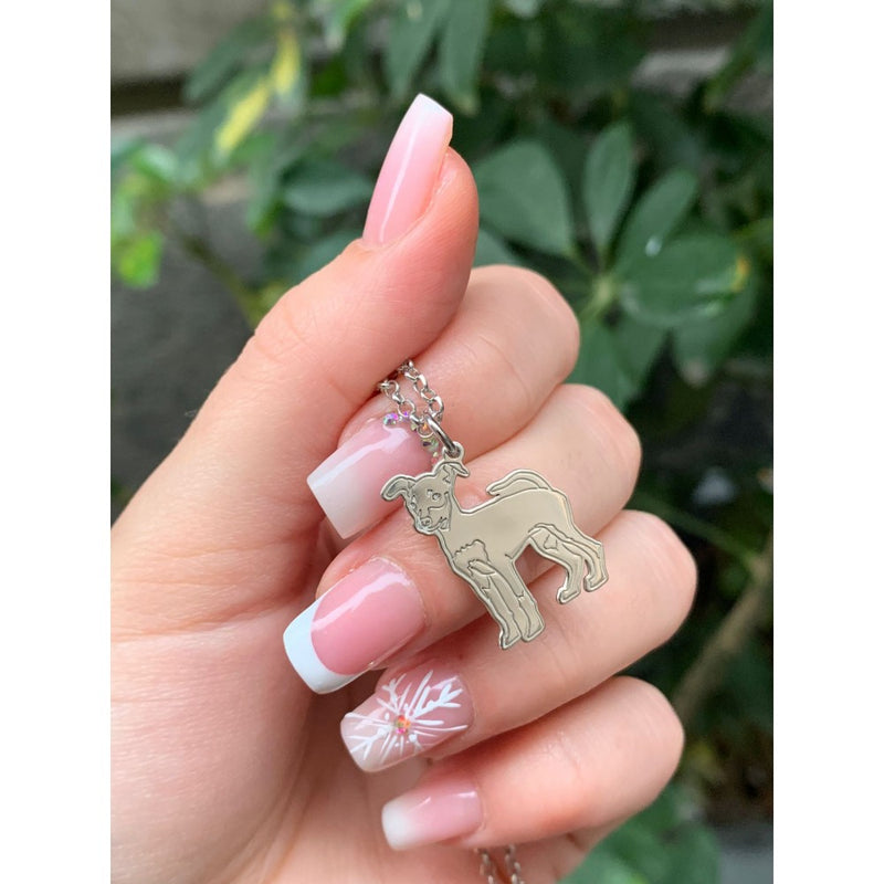 Bracciale pet