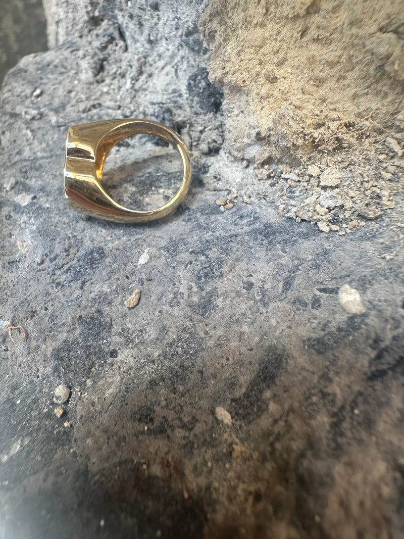 Chevalier cuore da mignolo