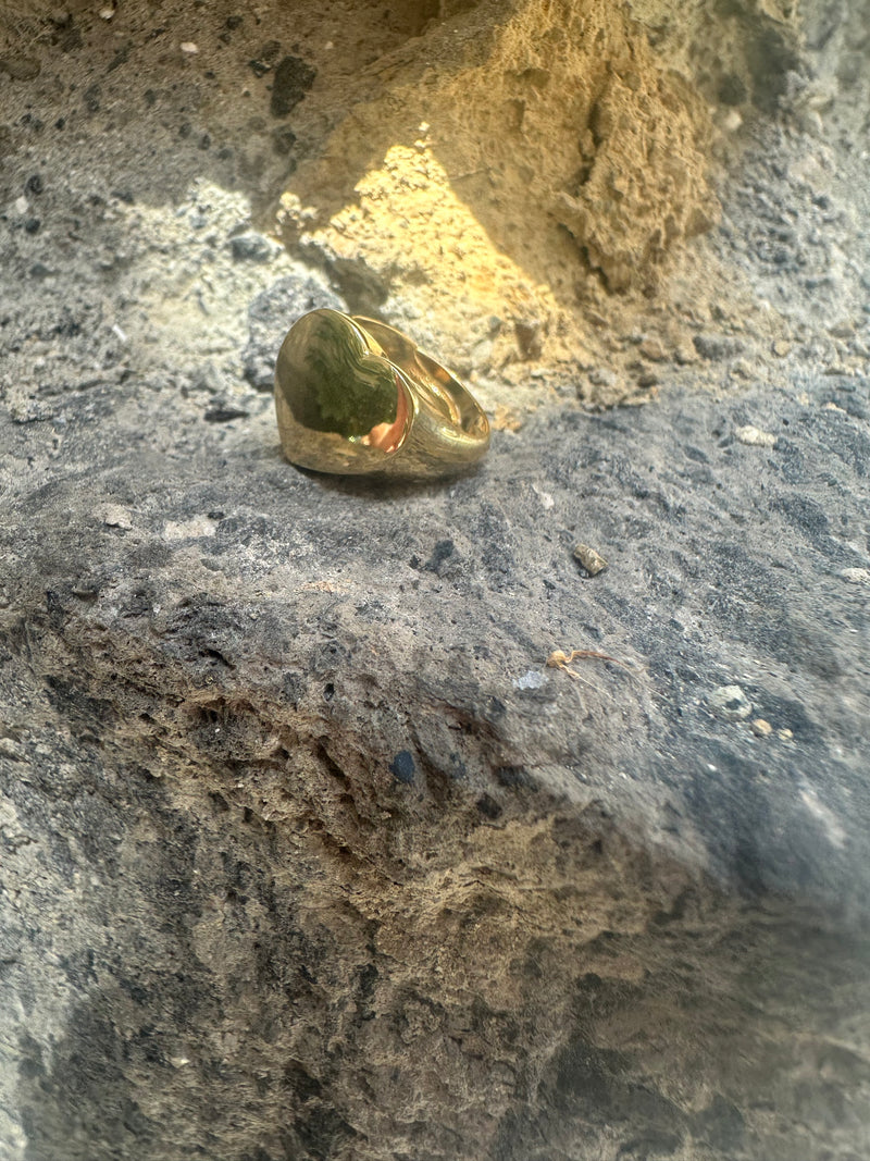 Chevalier cuore da mignolo