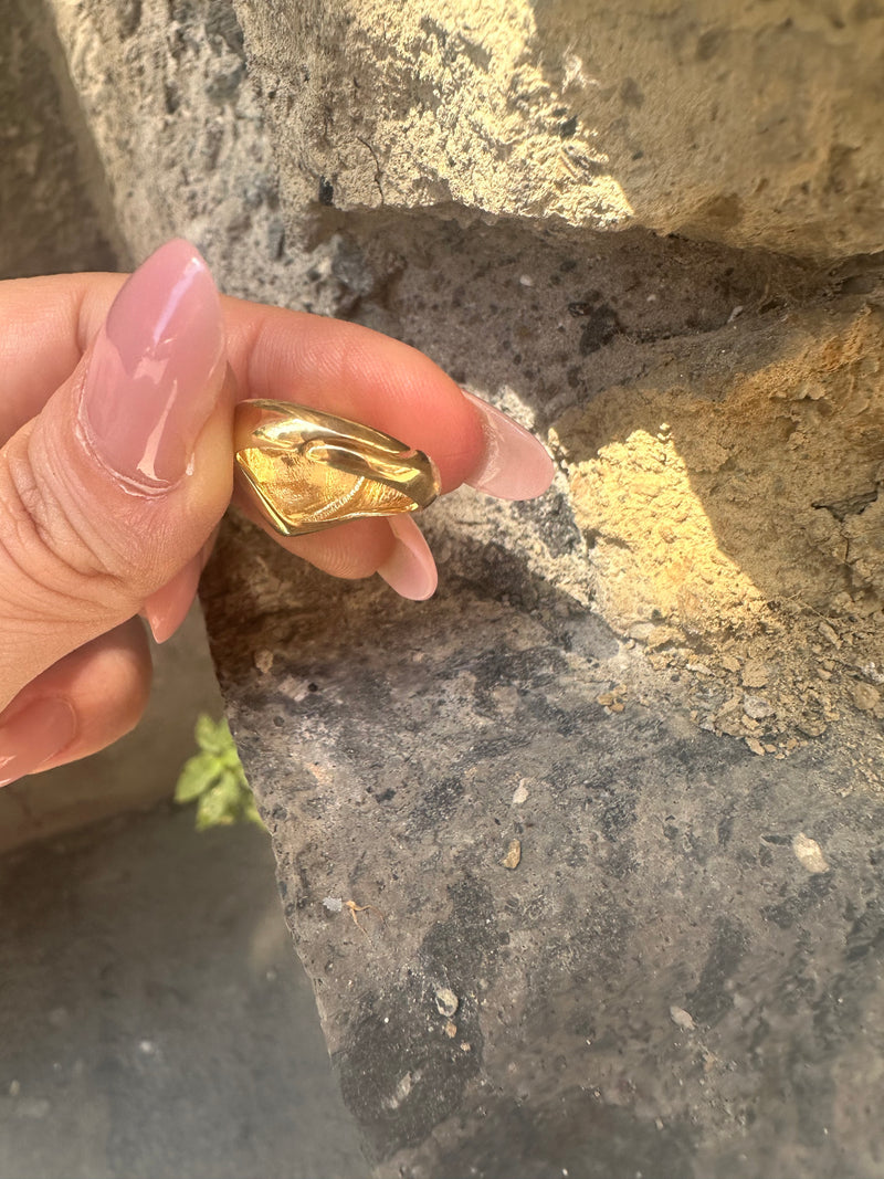 Chevalier cuore da mignolo