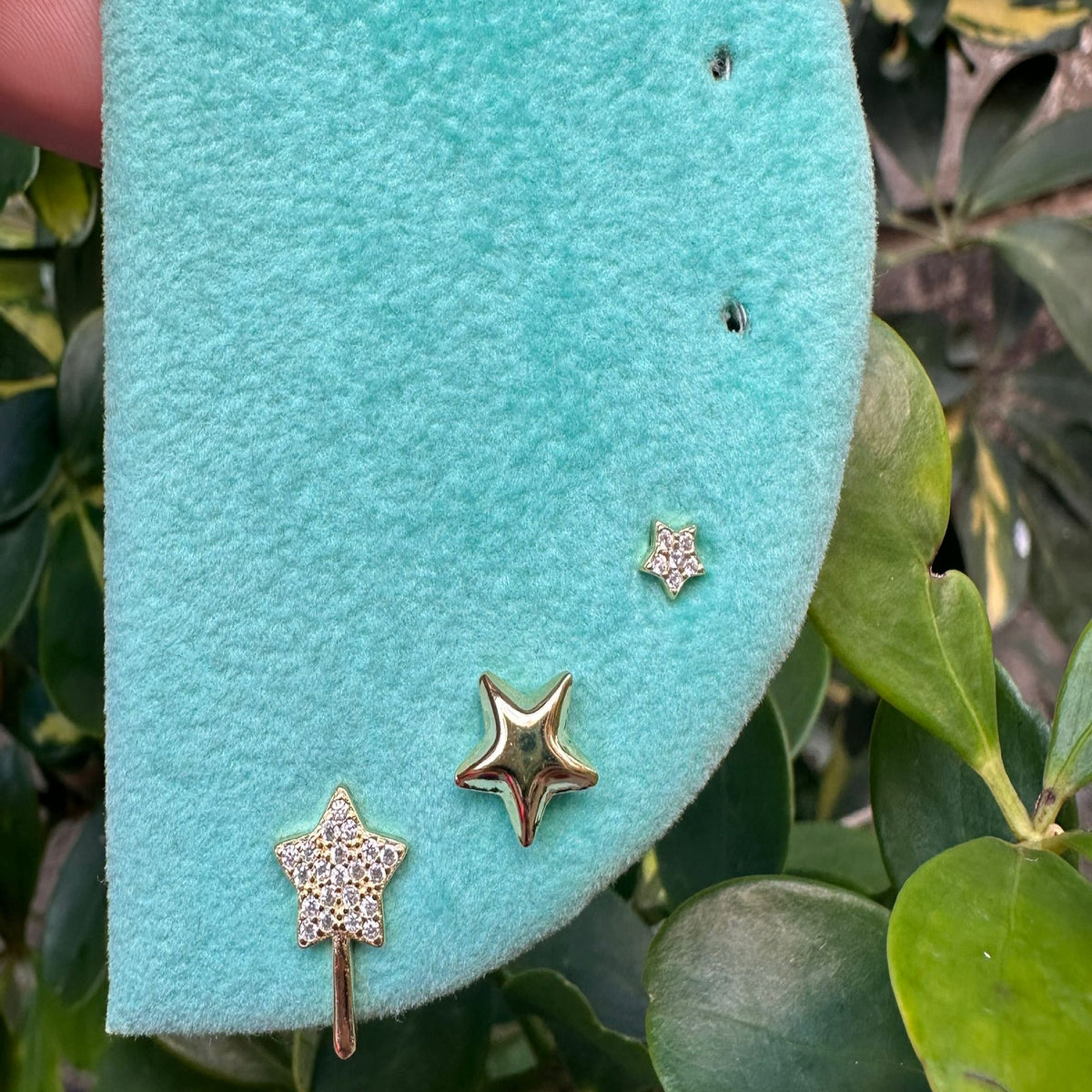 Combo estrella