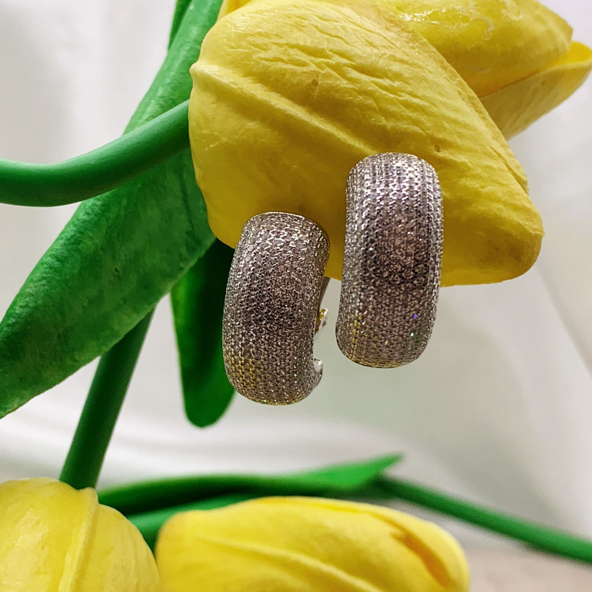 Orecchini jumbo clip