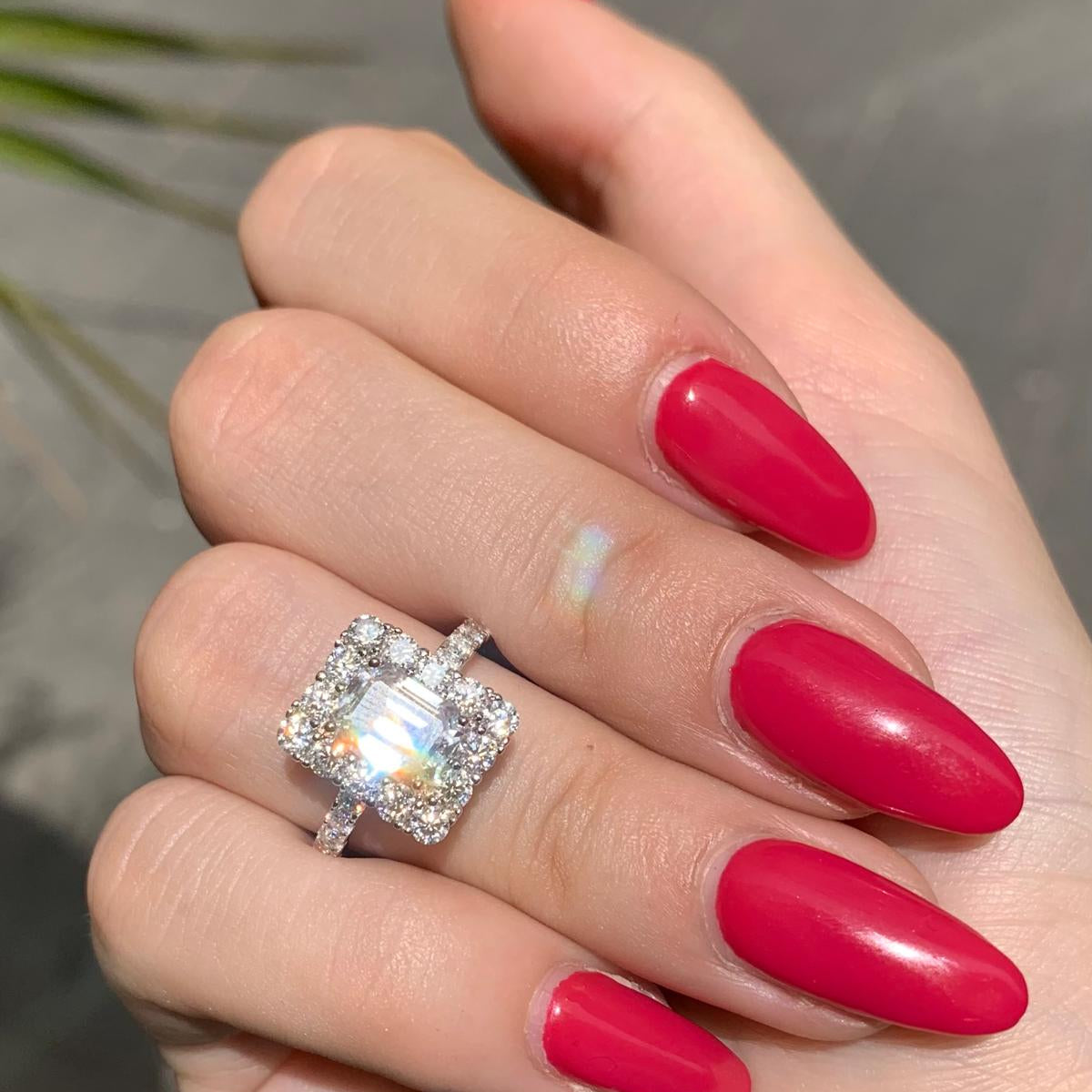 Anello M winston