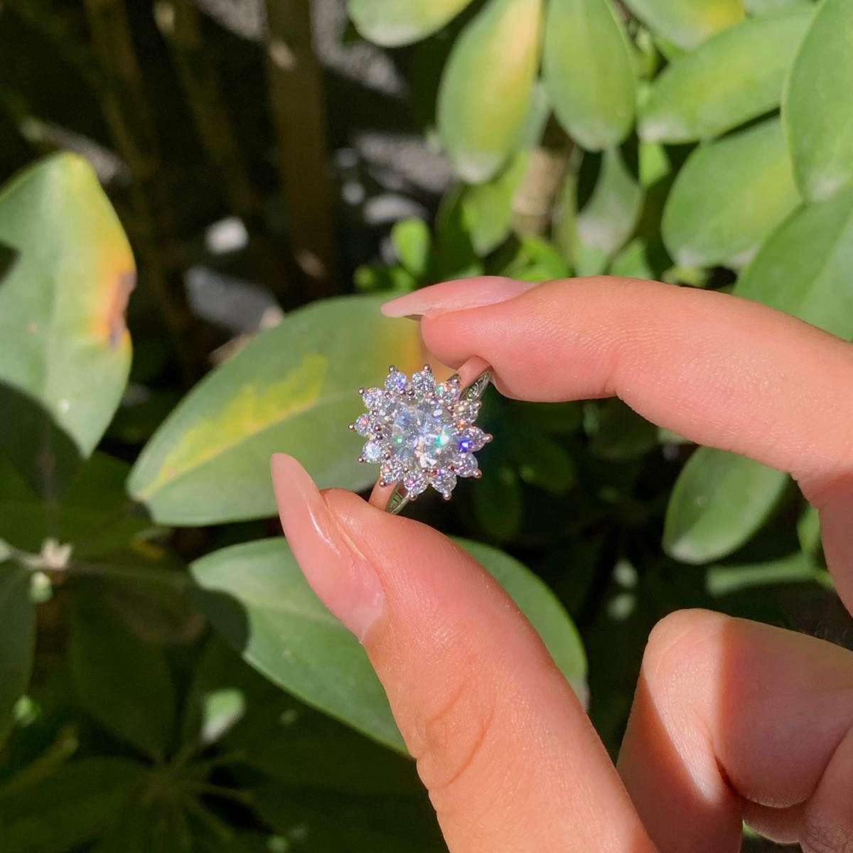 Anello m kate