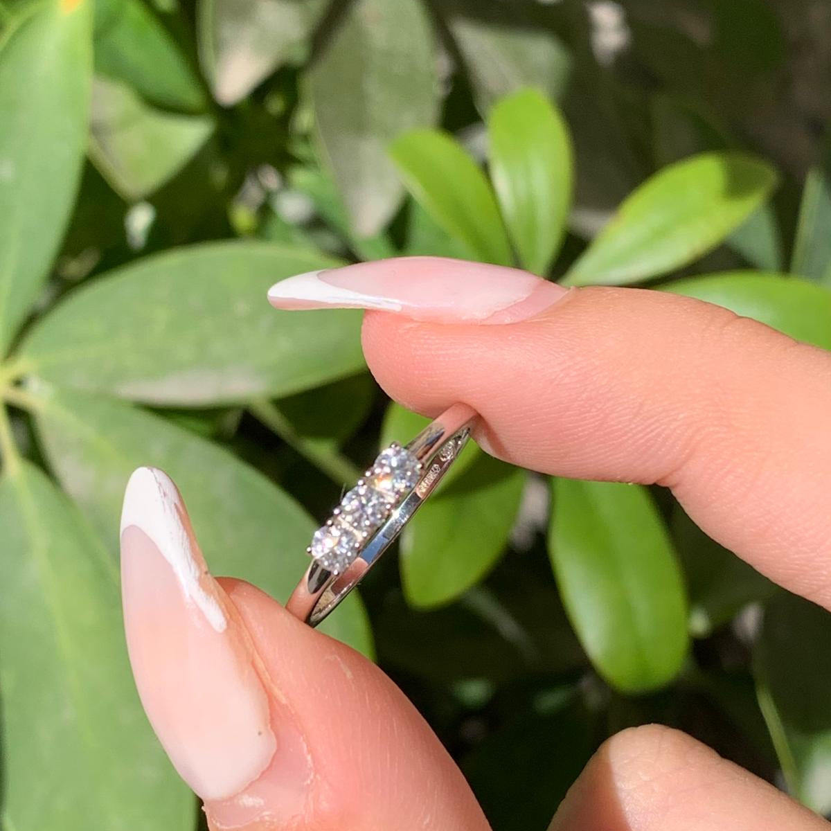 Trilogy m mini