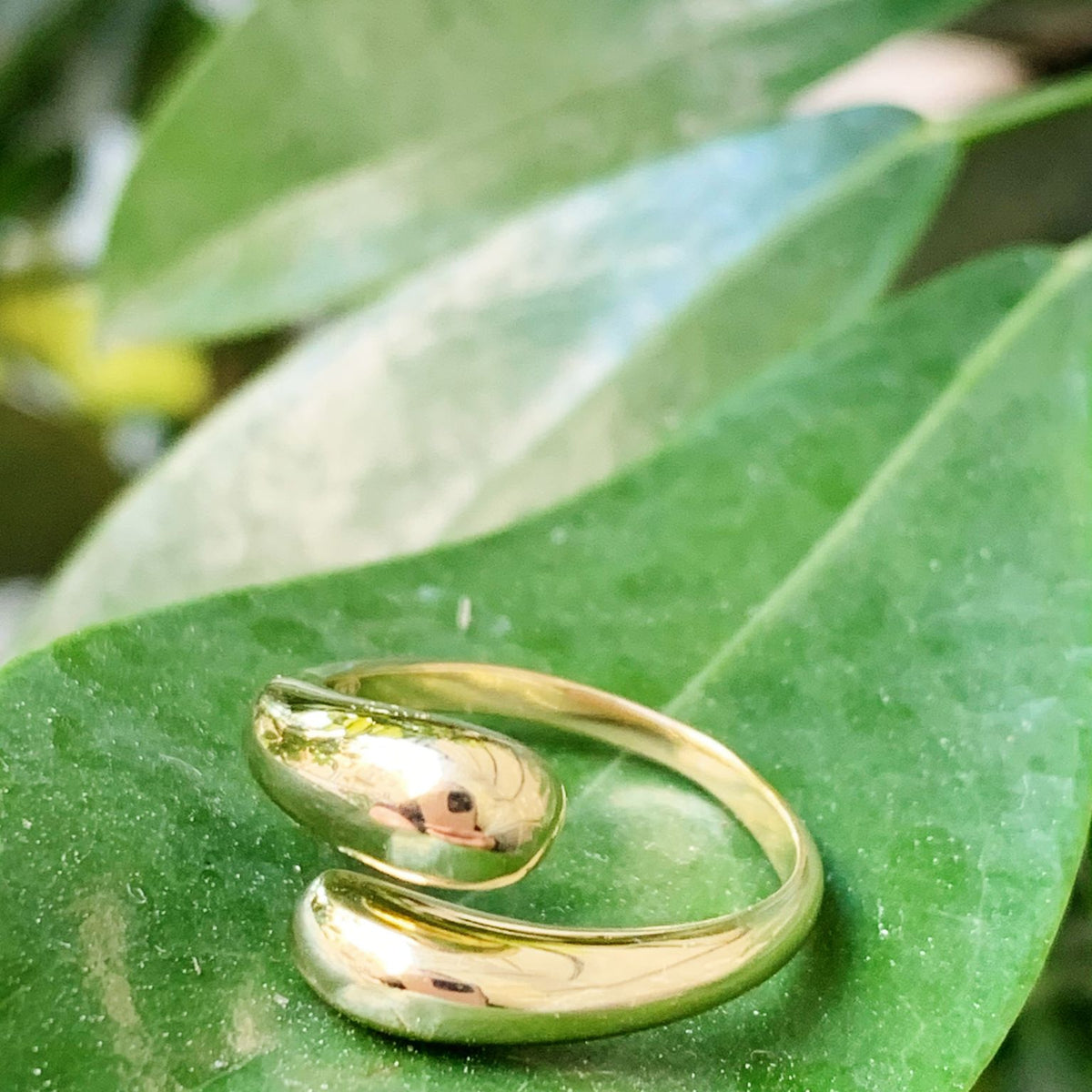 Anello legame