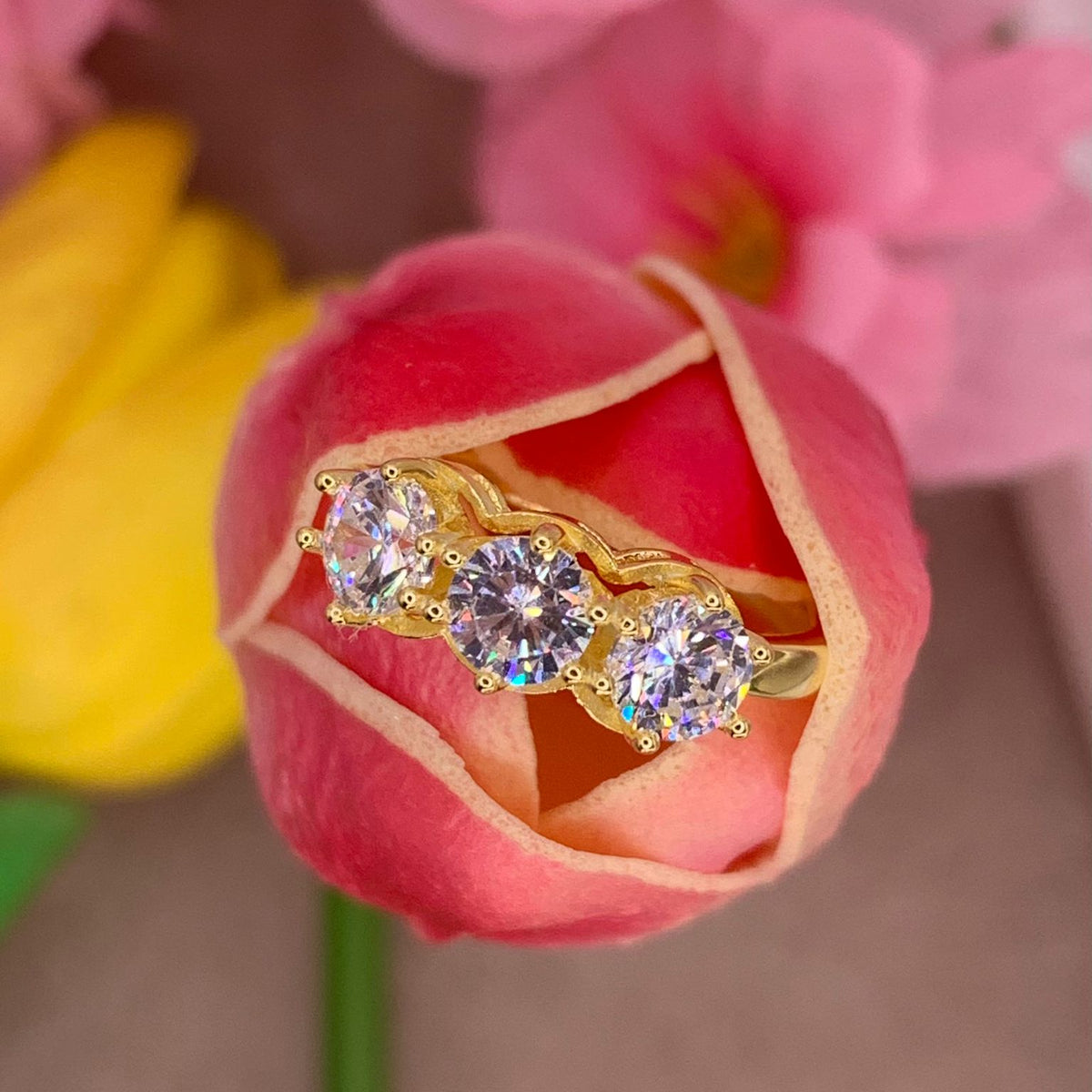 Trilogy Re carlo III