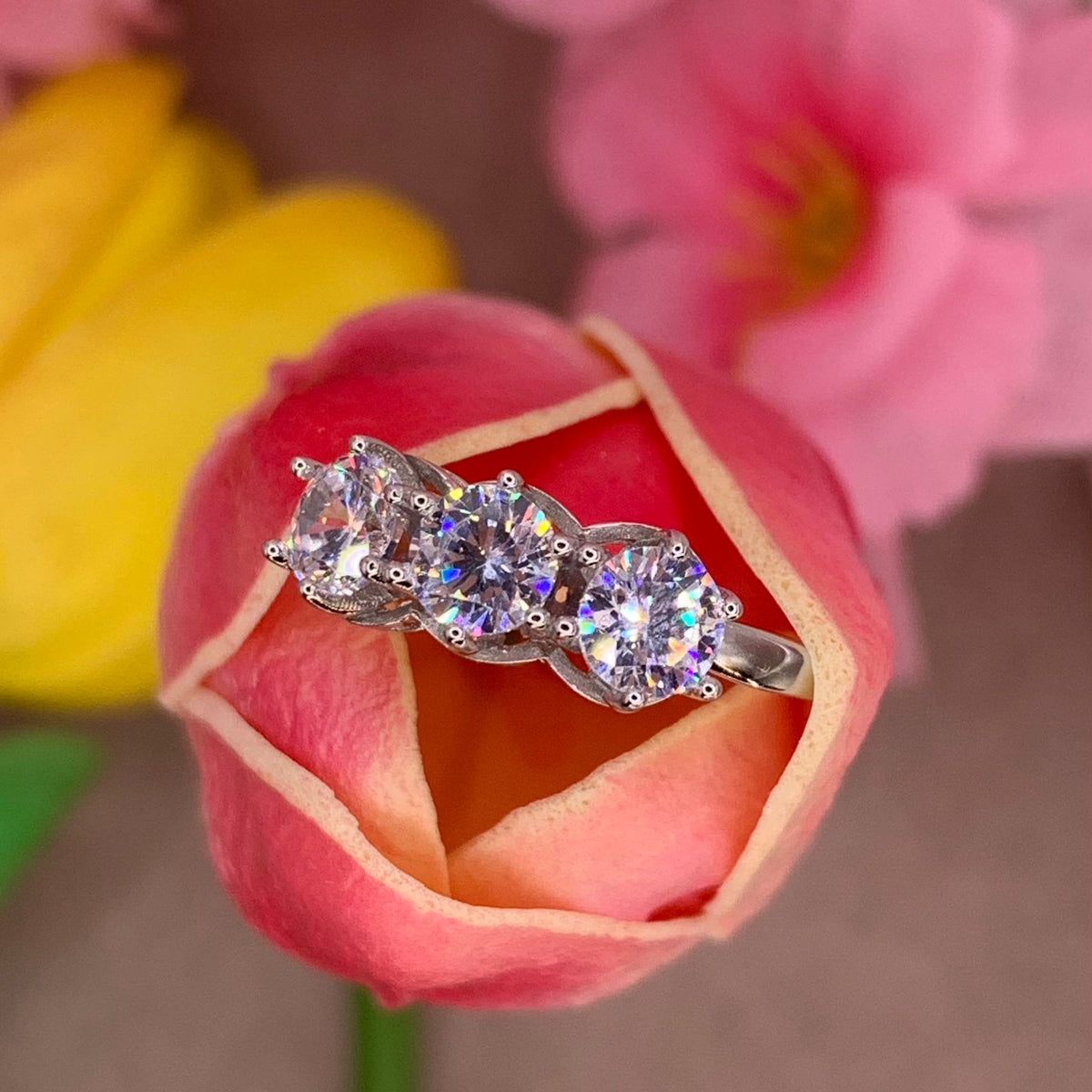 Trilogy Re carlo III