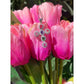 collana croce tulips